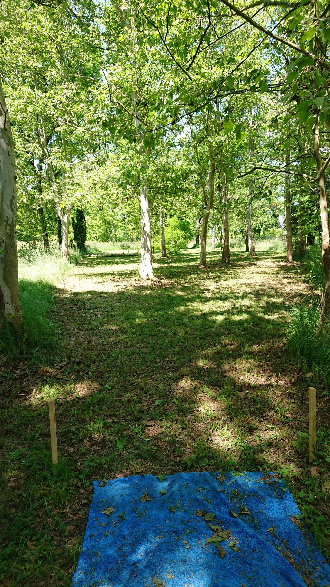 Hole 1