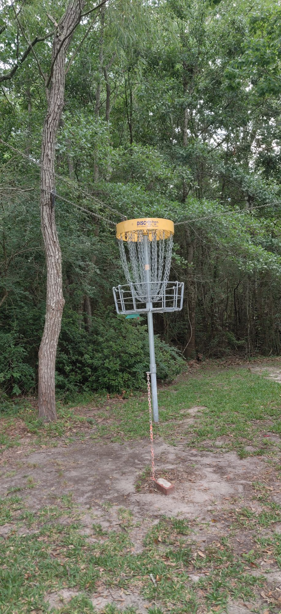 Hole 14 at brickyard bayou. Awesome hole