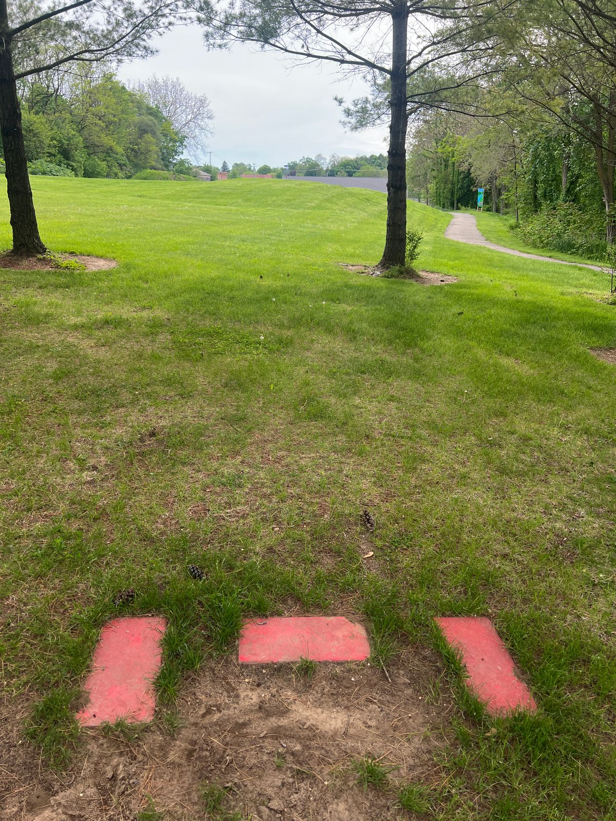 Hole 5 Tee Pad - based sits on the hill, with a drop off running toward the OB (on or over) sidewalk