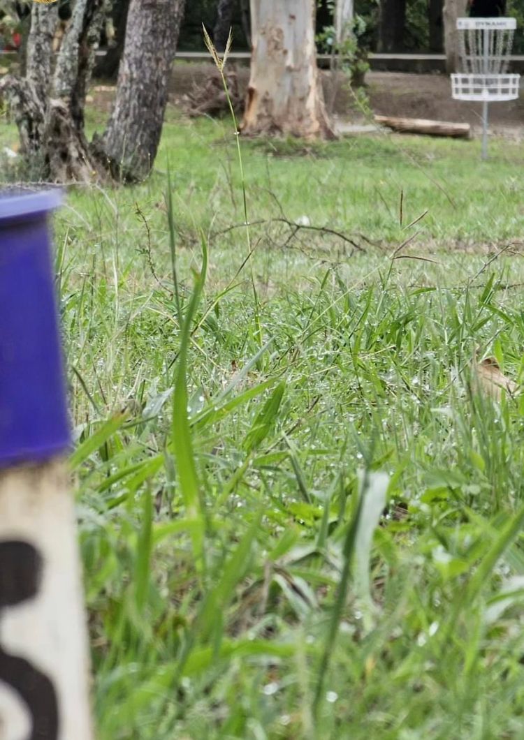 Montemorelos DiscGolf