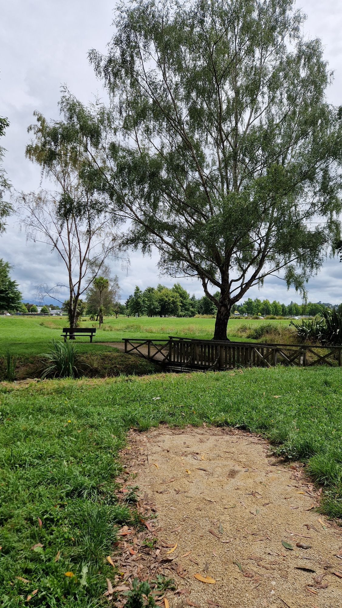 View from tee box of hole 18.