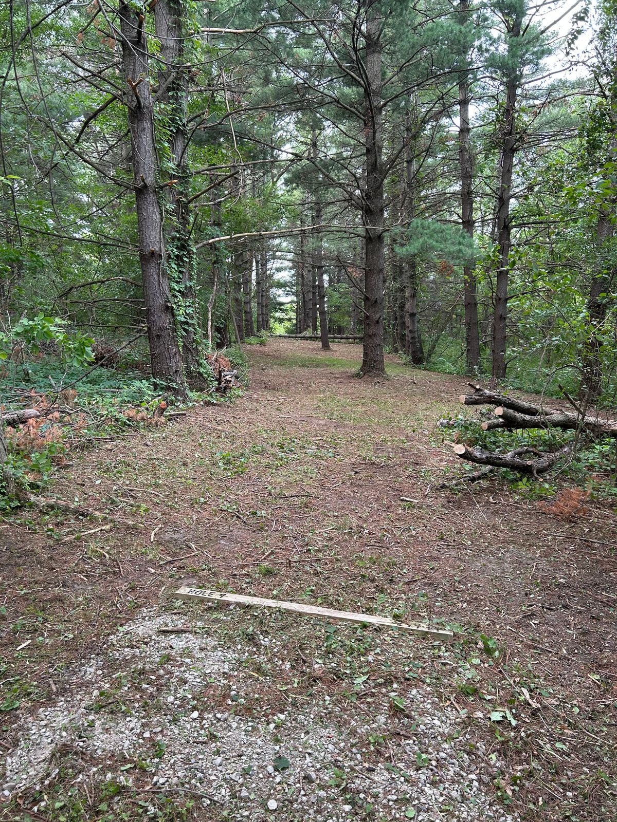 Hole 9 tee