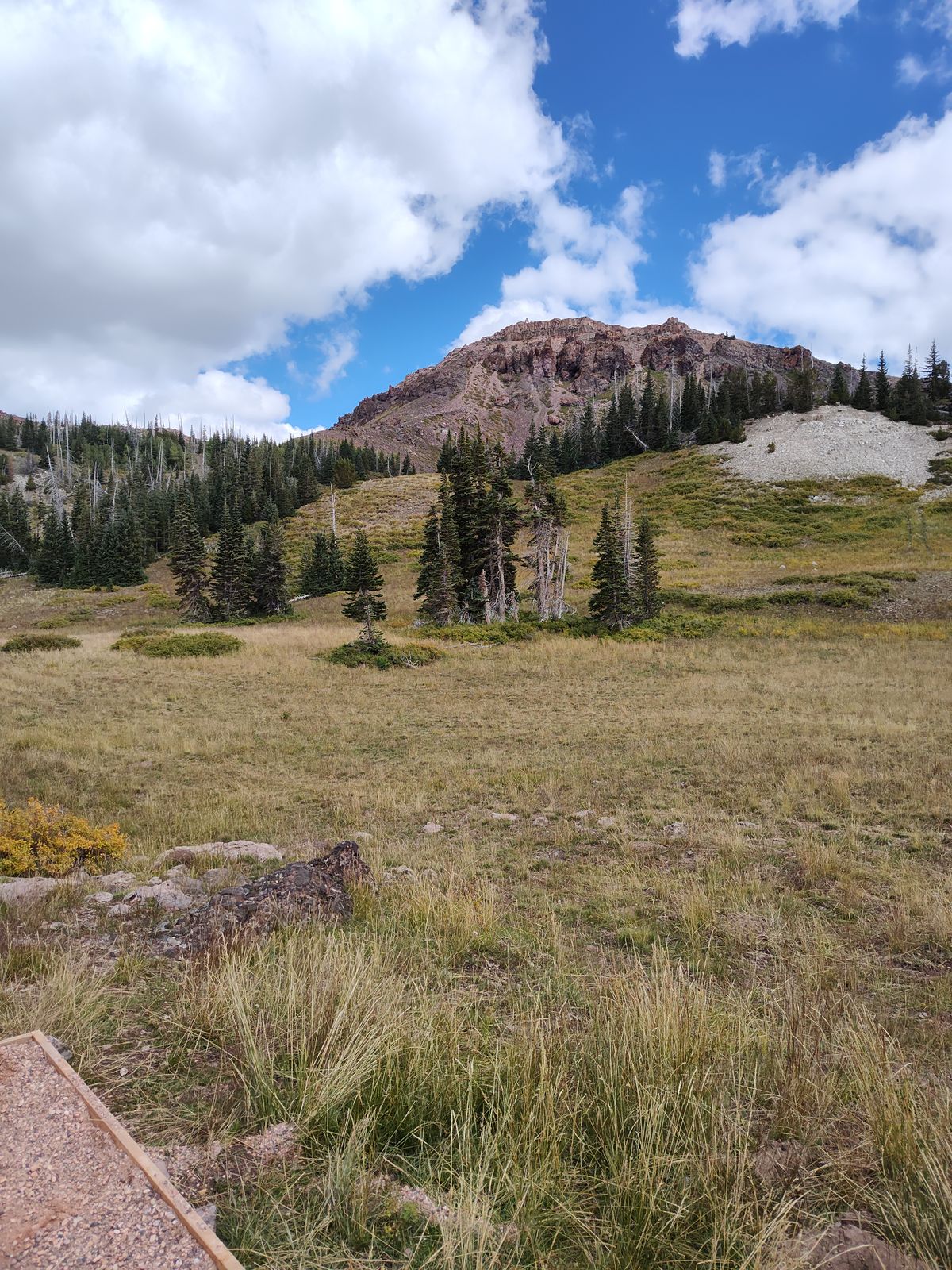 View of Brian Head peak