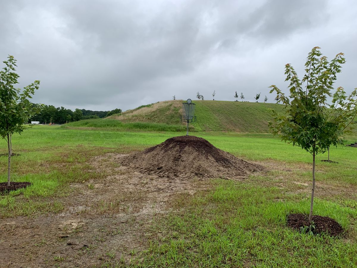 Hole 6 basket to tee