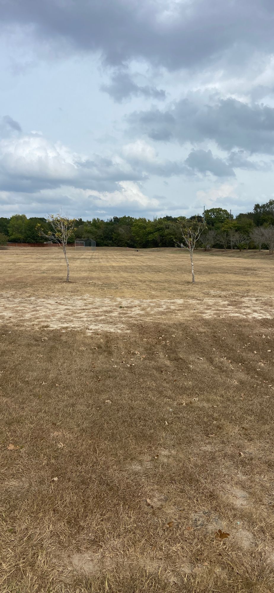 Hole 6