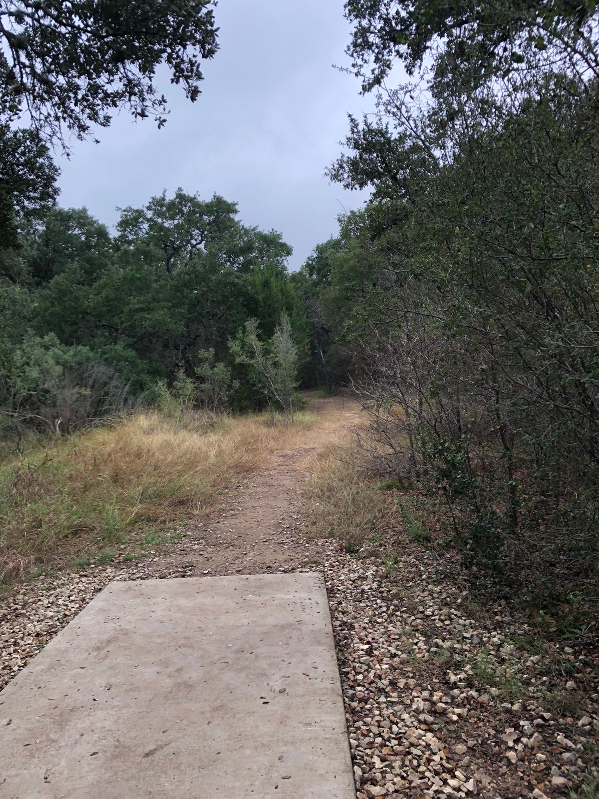 Hole 14