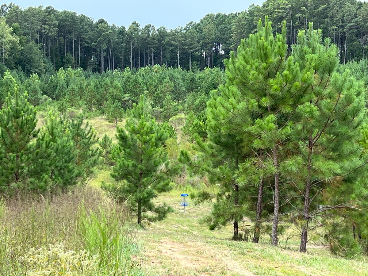 Hole 12 Fairway