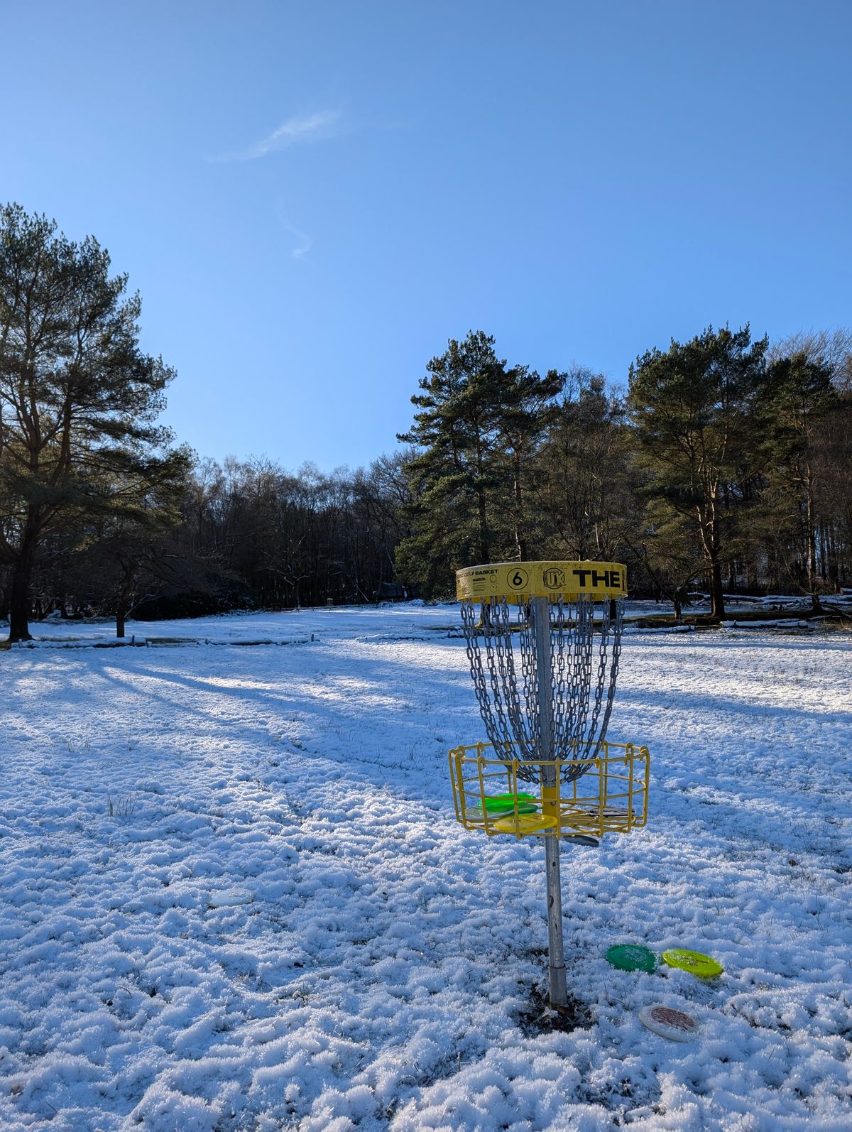 Hole 6 summer blue/yellow. Looking back up the fairway