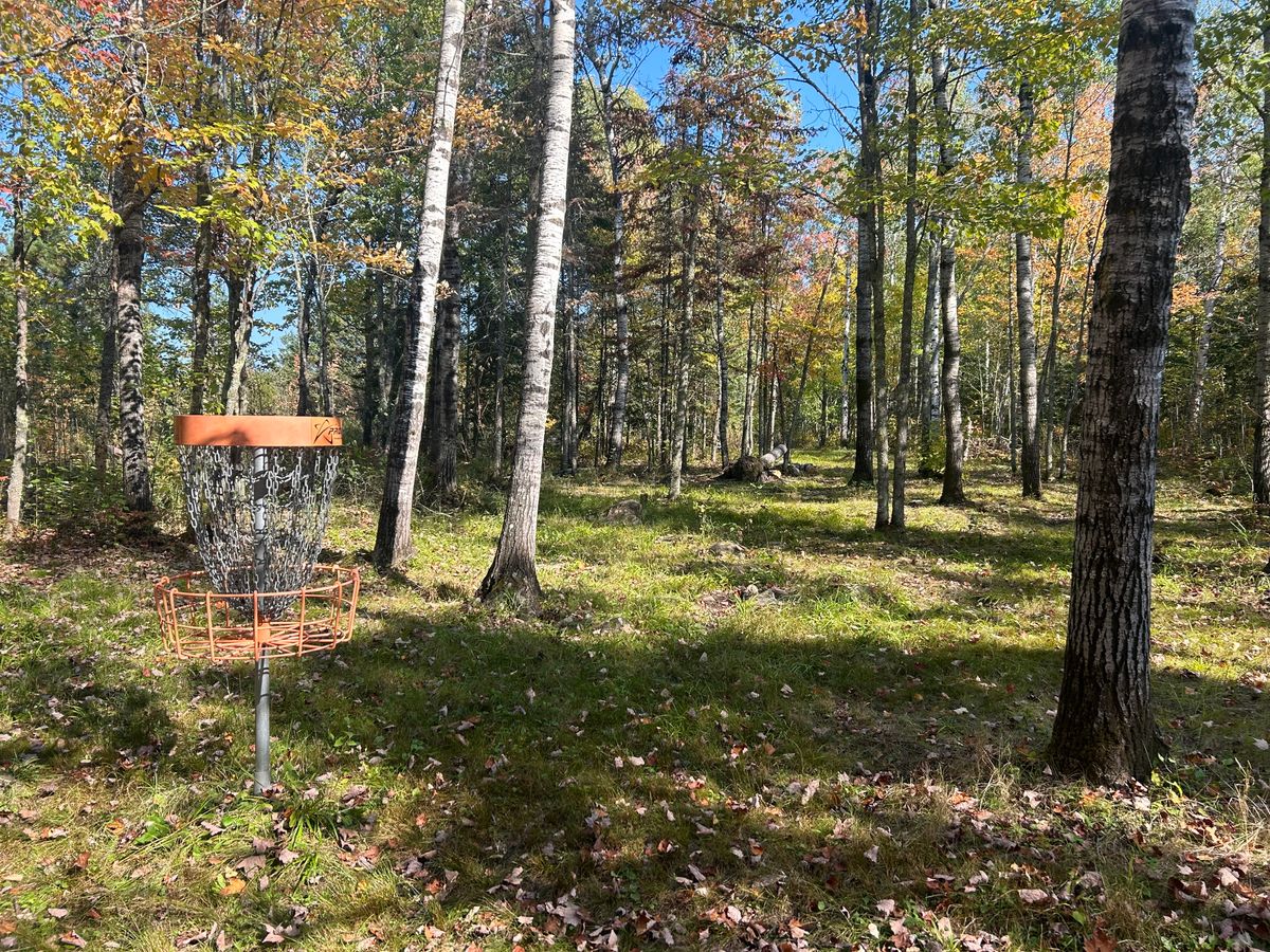 Hole 8 basket