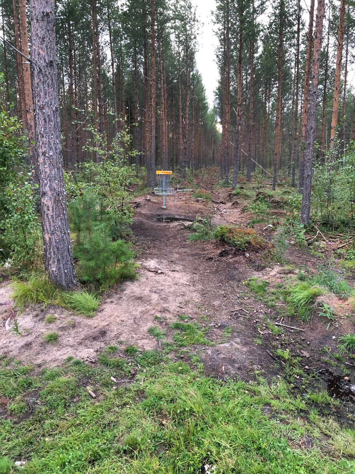 Väylä 1.
