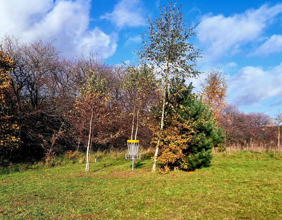 The guarded green on hole 5