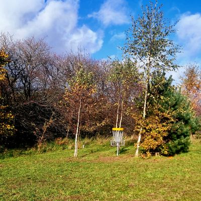 The guarded green on hole 5