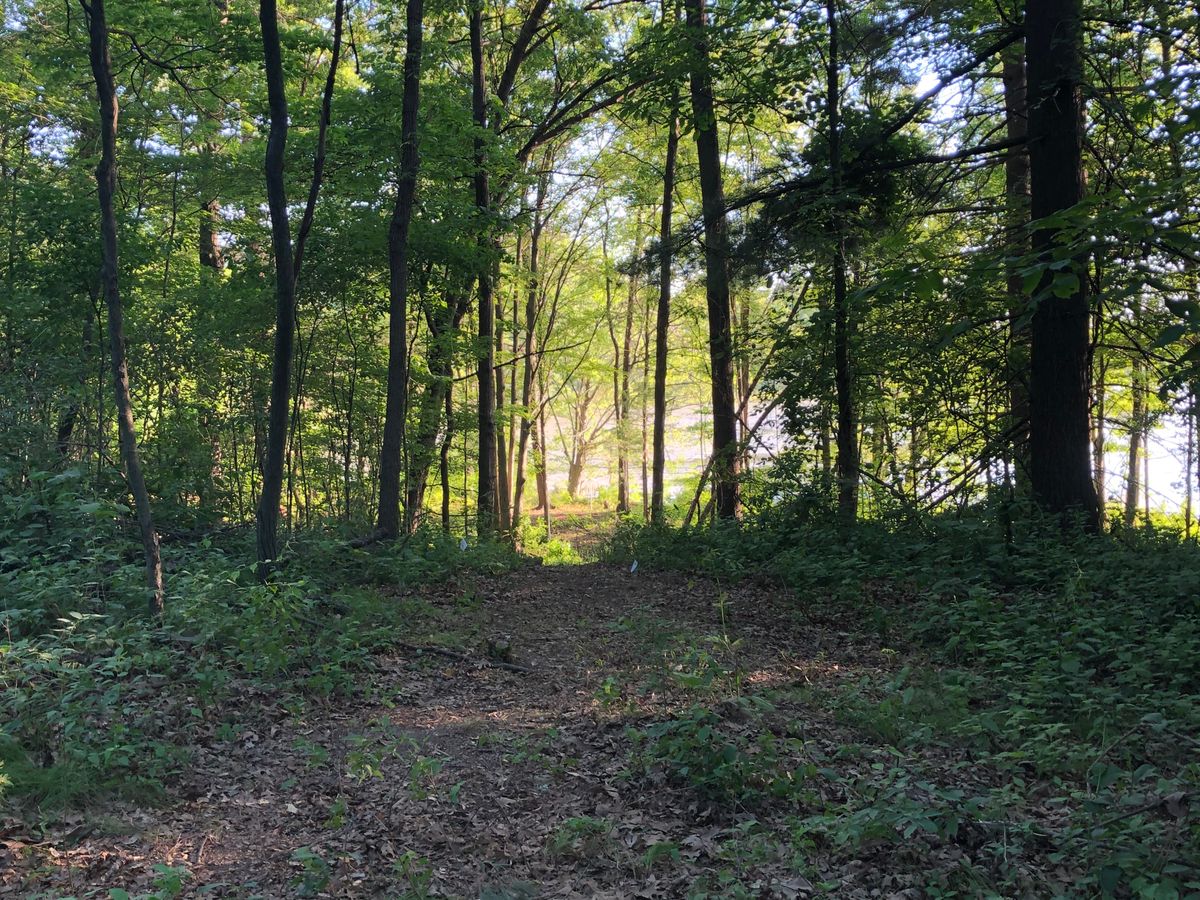 Hole 15