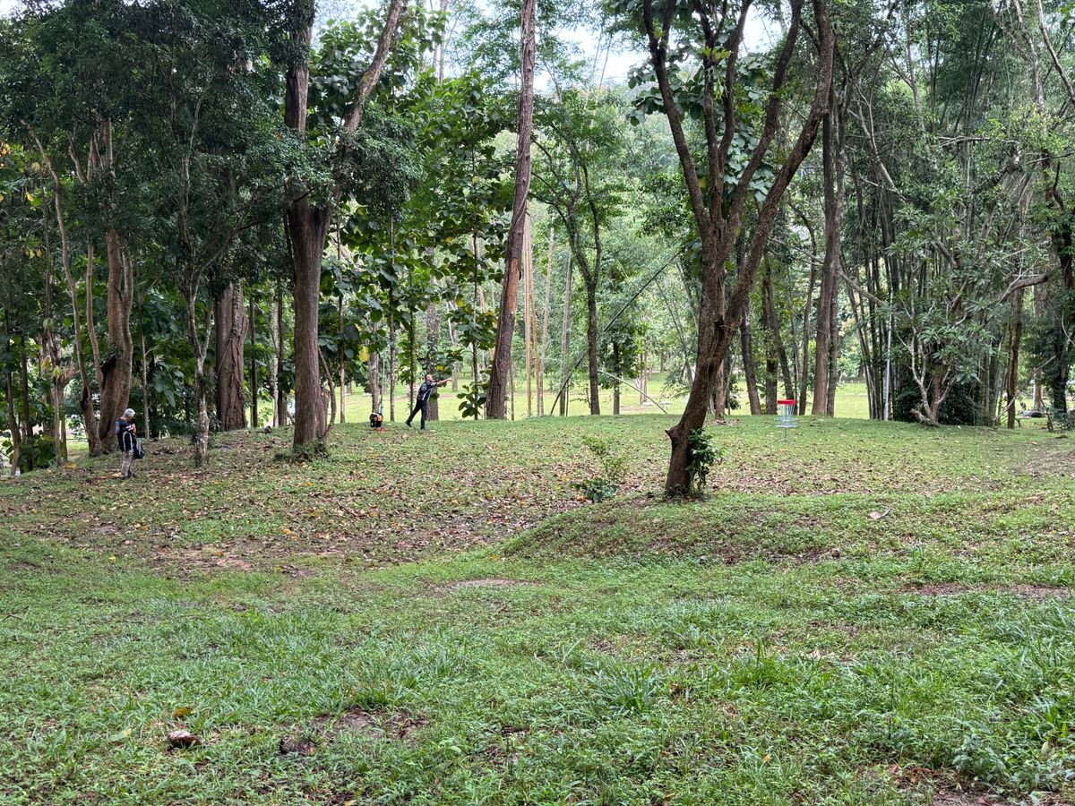 Hole 7 basket