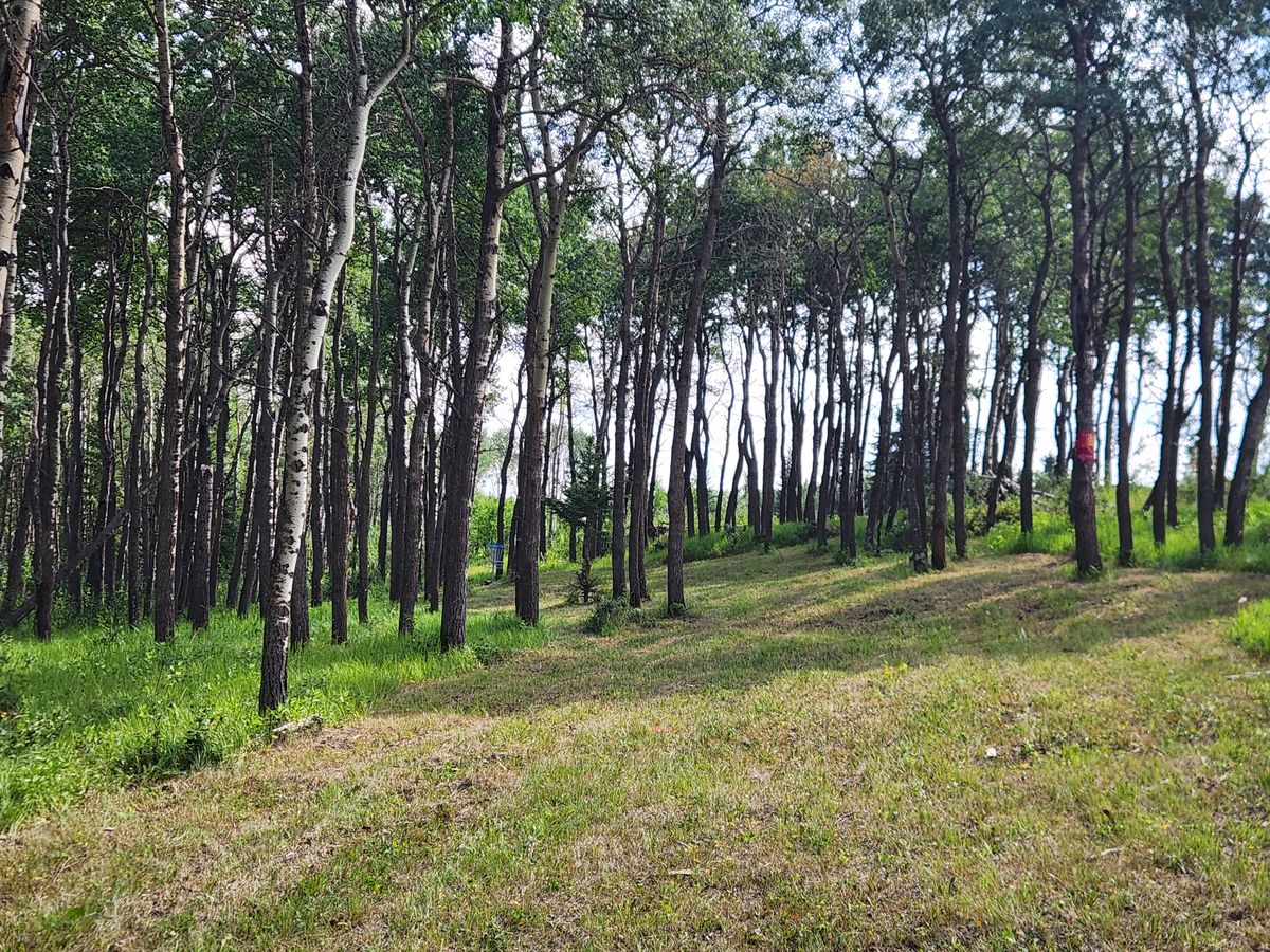 Hole 5