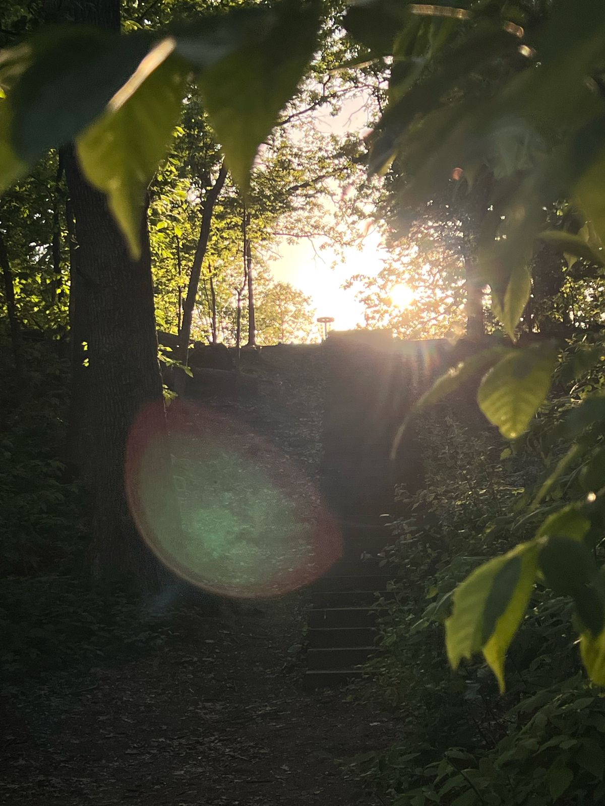 Hole 5, looking up at the basket from the tee.