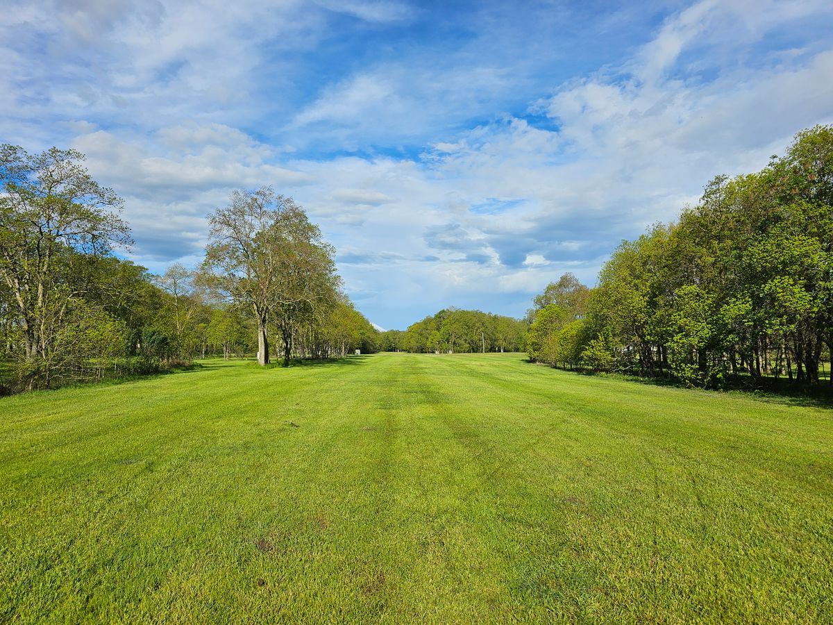 Hole 4 fairway. Looking back to teepad. Hole 9 basket and 17 basket can be seen in distance