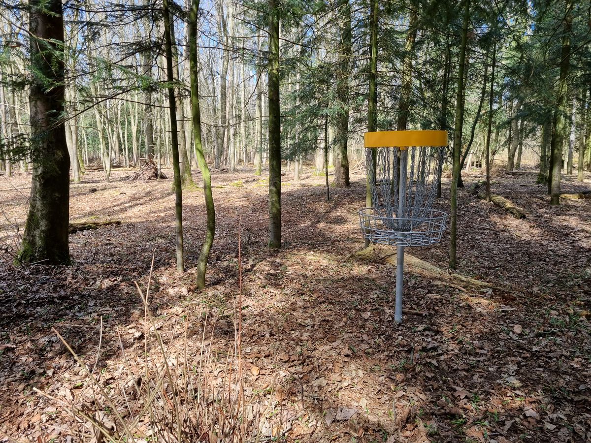 Hole 5 - Basket
