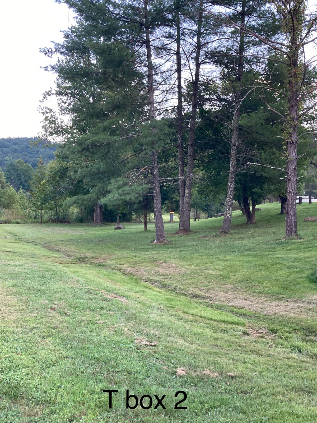 T box 2 hole 1