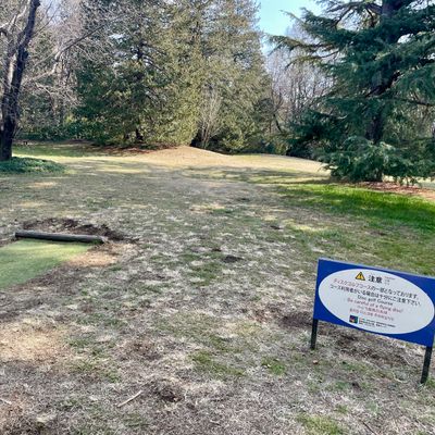 No. 5 Par 3 50m