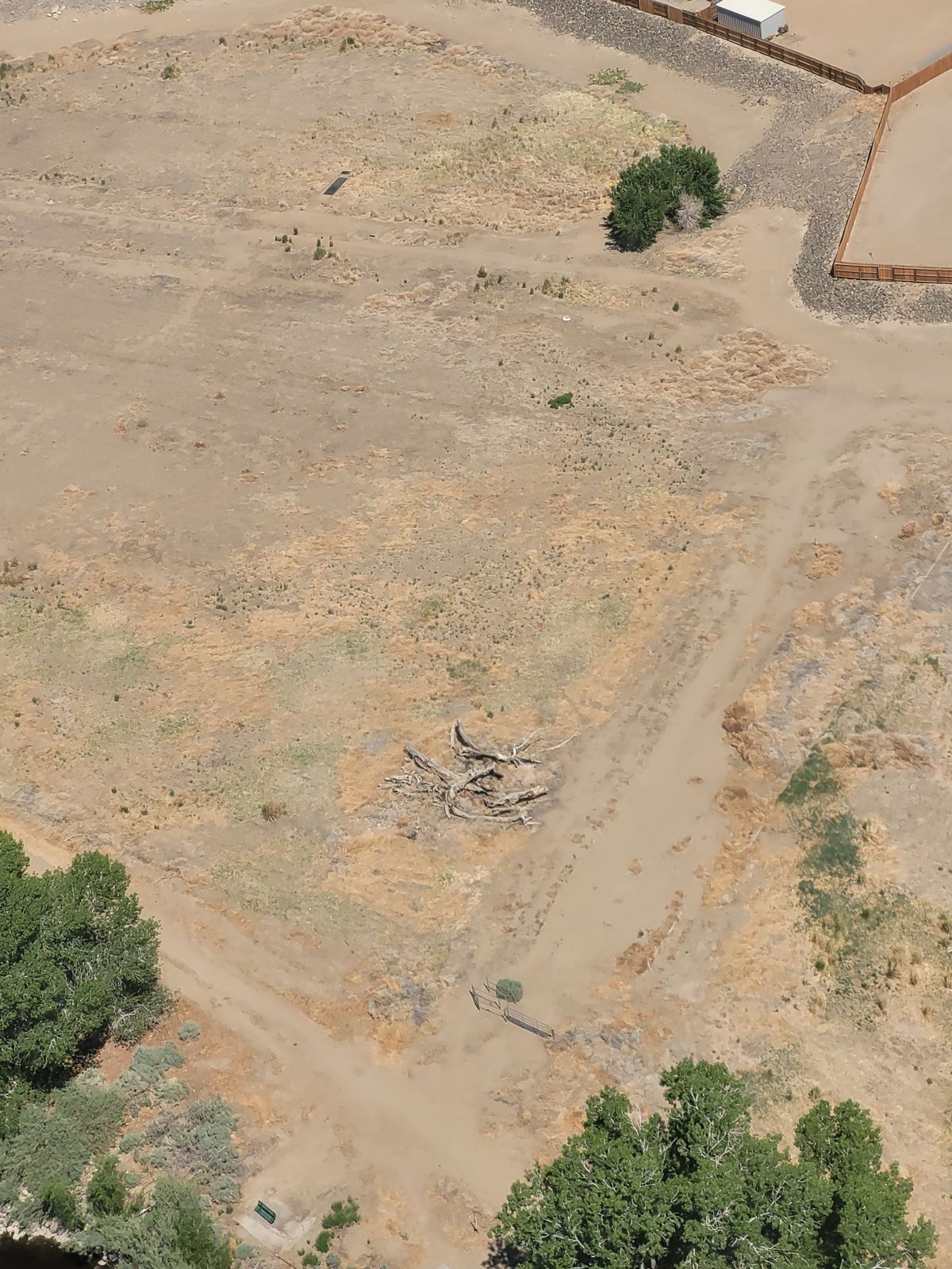 New temp hole along fence top left.  Fence Mando. Basket be hind small right tree grouping top left.