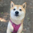 User avatar image