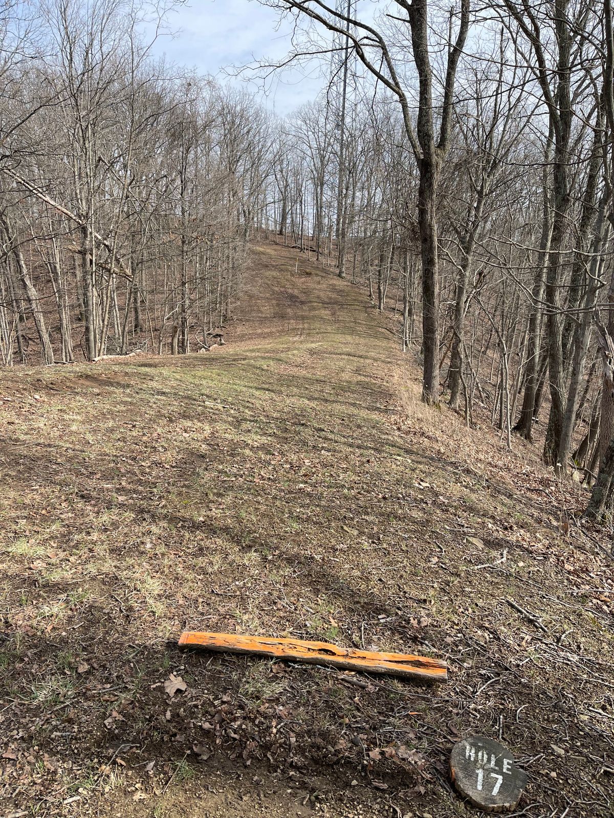 Hole 17 (Fairway)