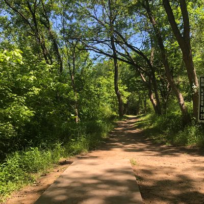 Hole 14
