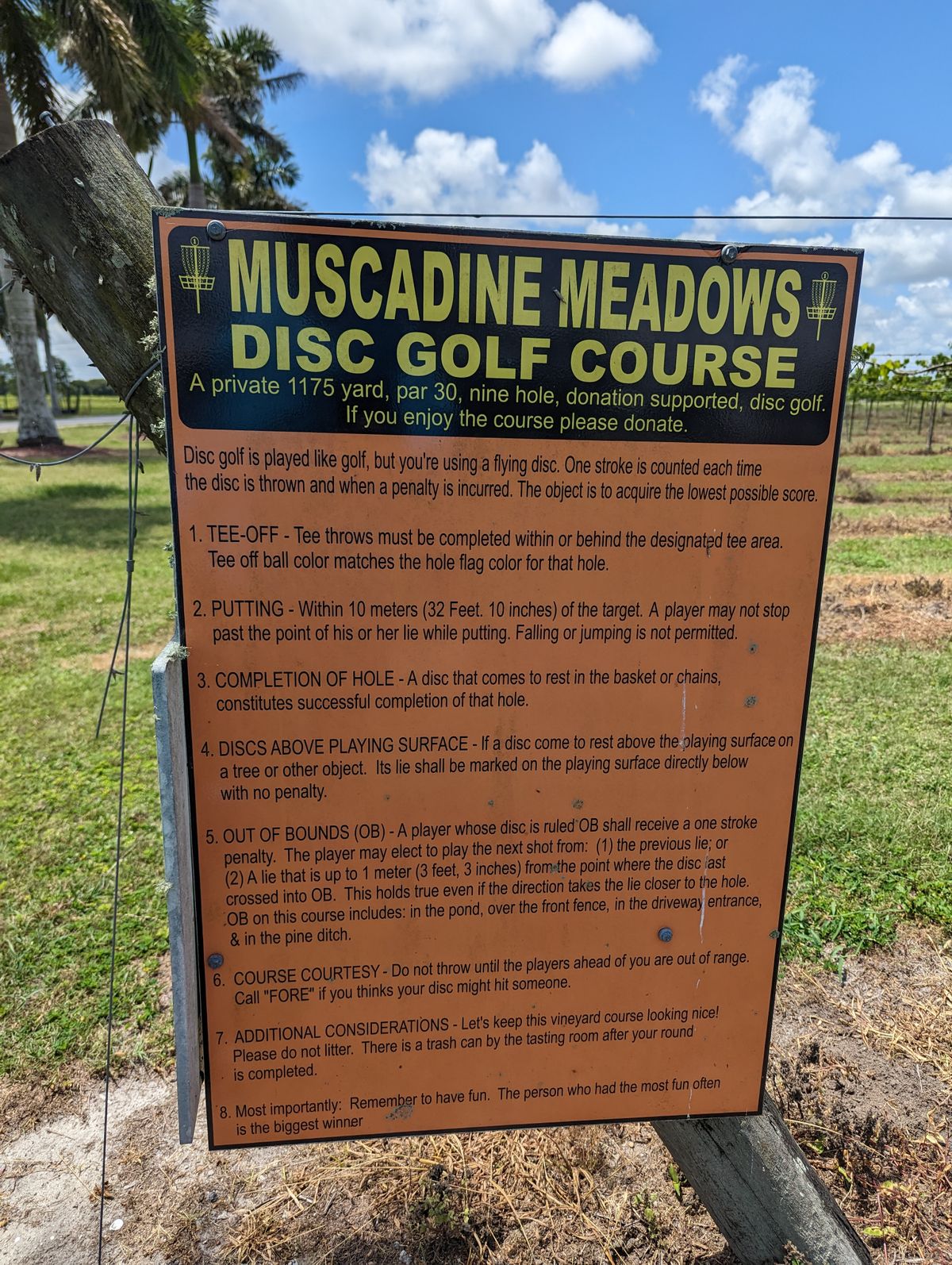 Short course great for beginners! (Like me)