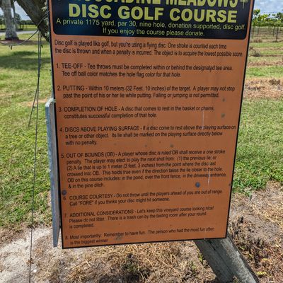 Short course great for beginners! (Like me)