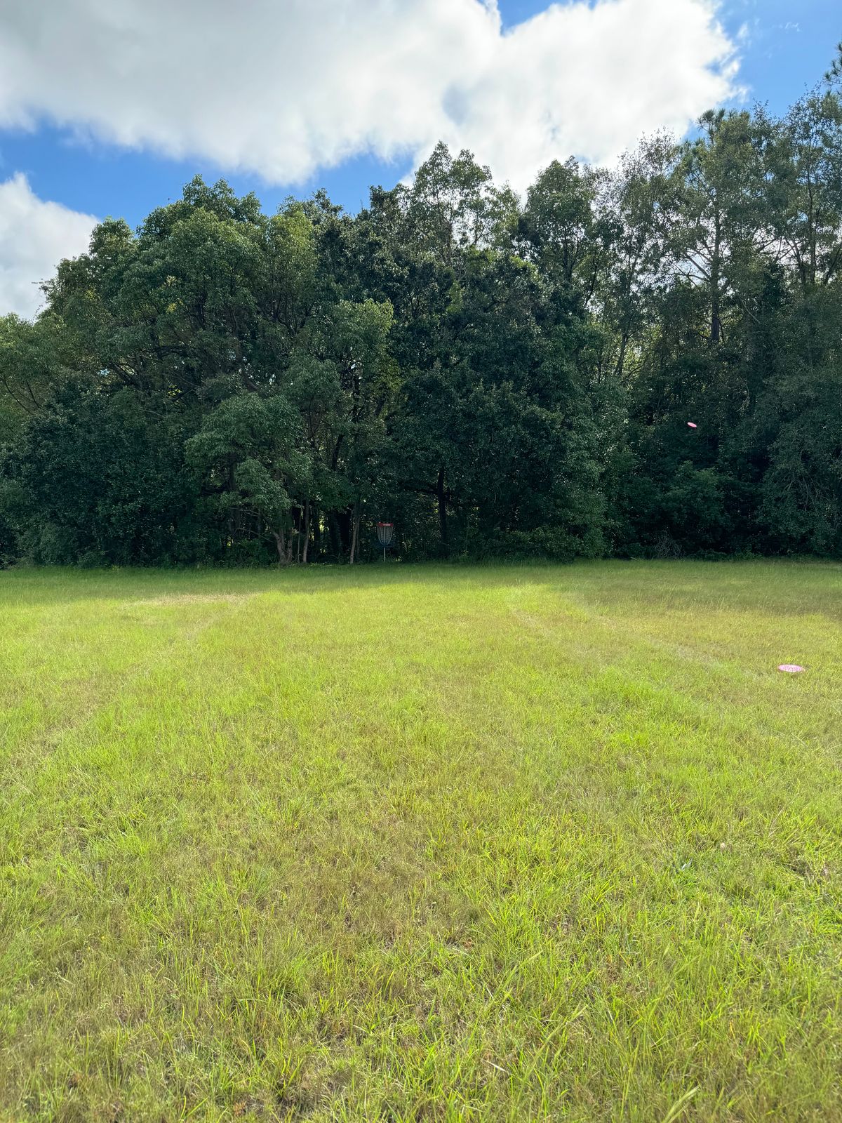 Hole 7 approaching basket