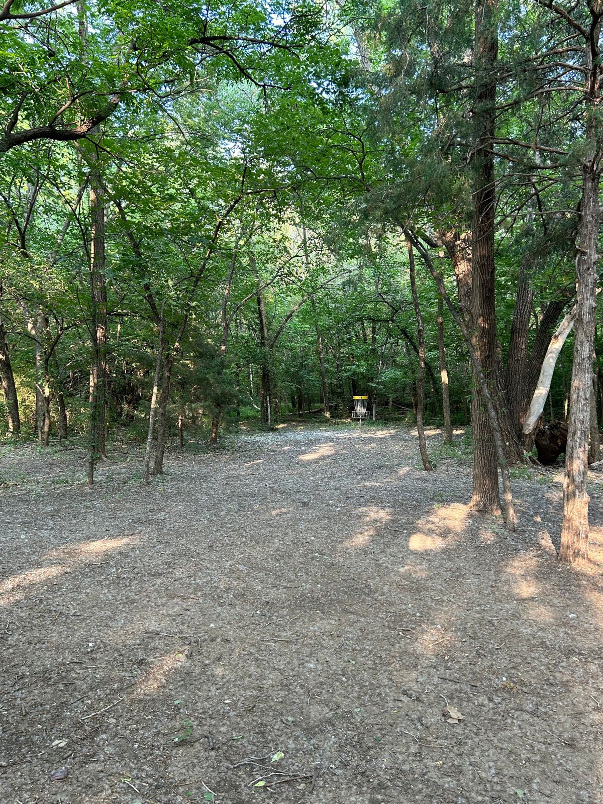 Hole 6 short