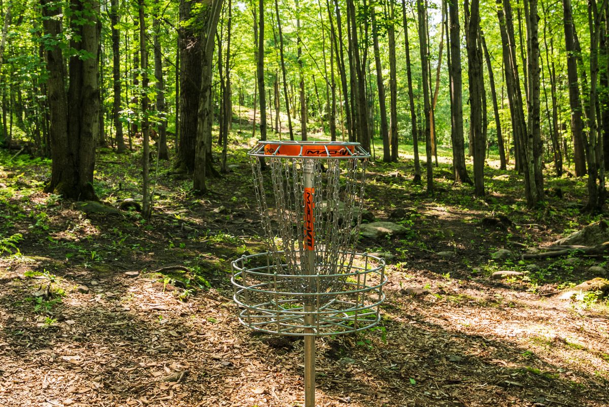 Hole 7 looking back