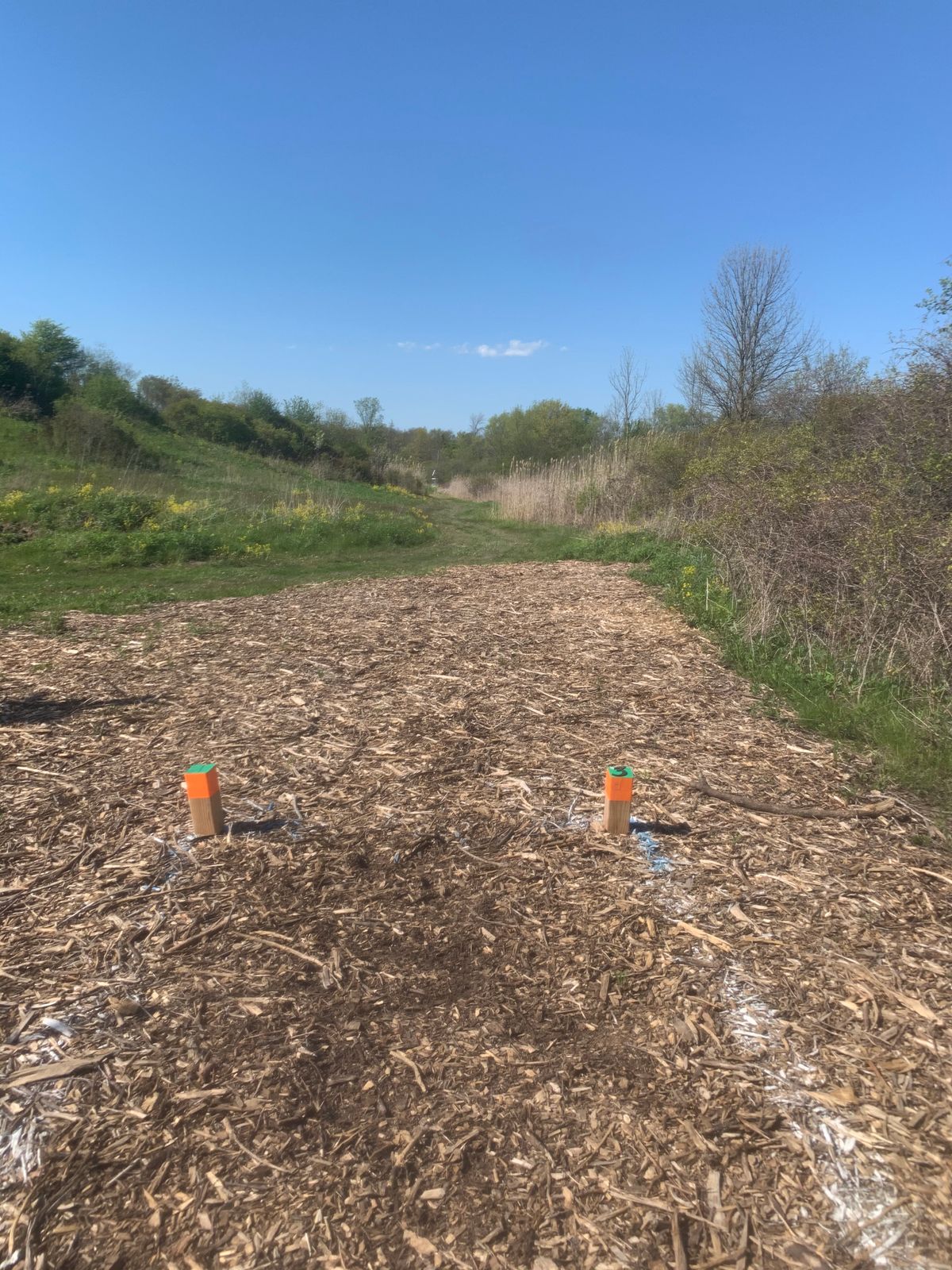 Hole 3 tee box