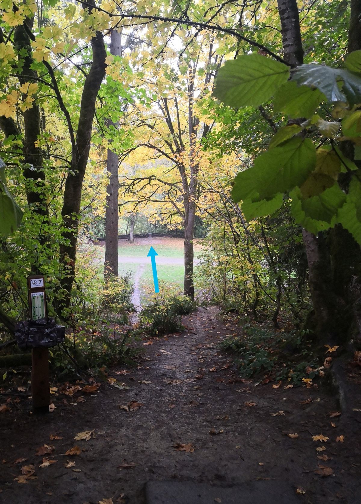 Hole 7