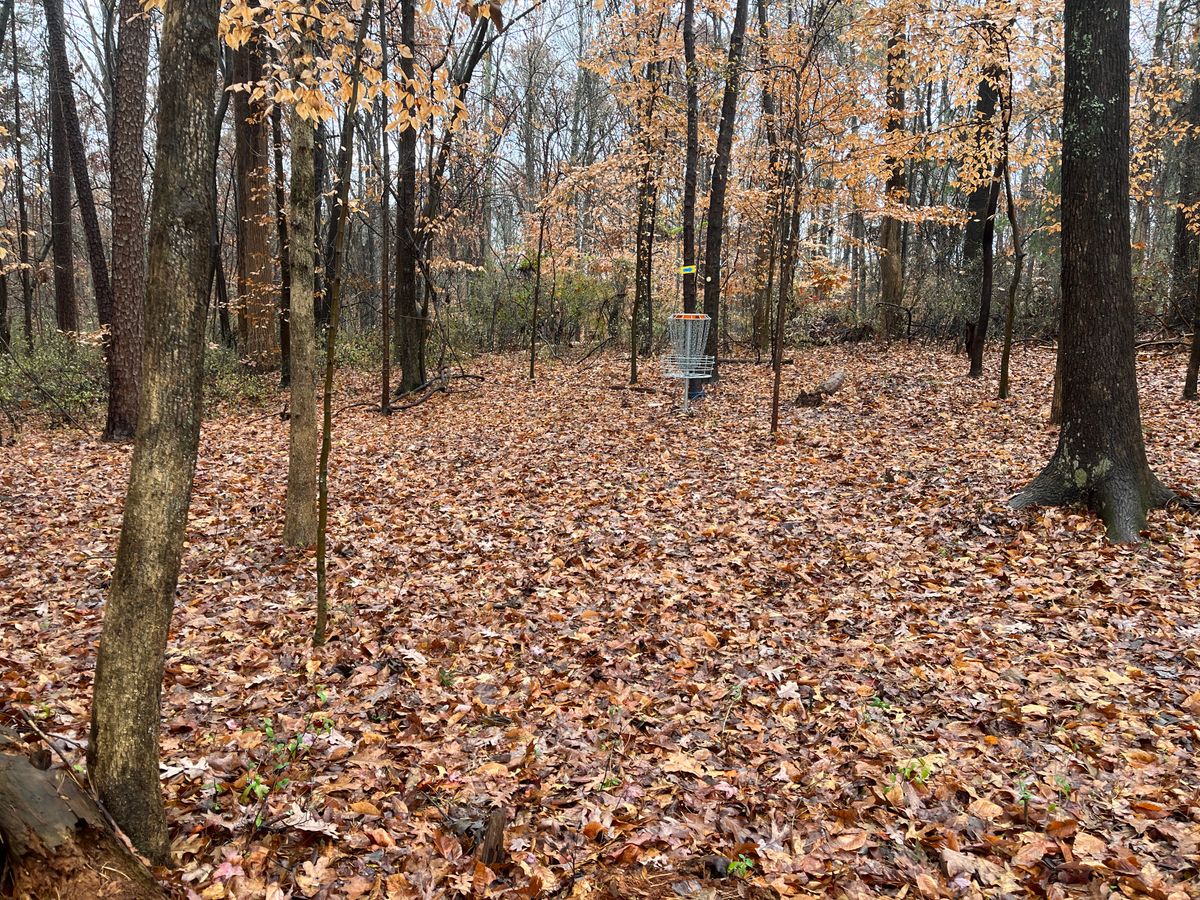 Hole 1 approach