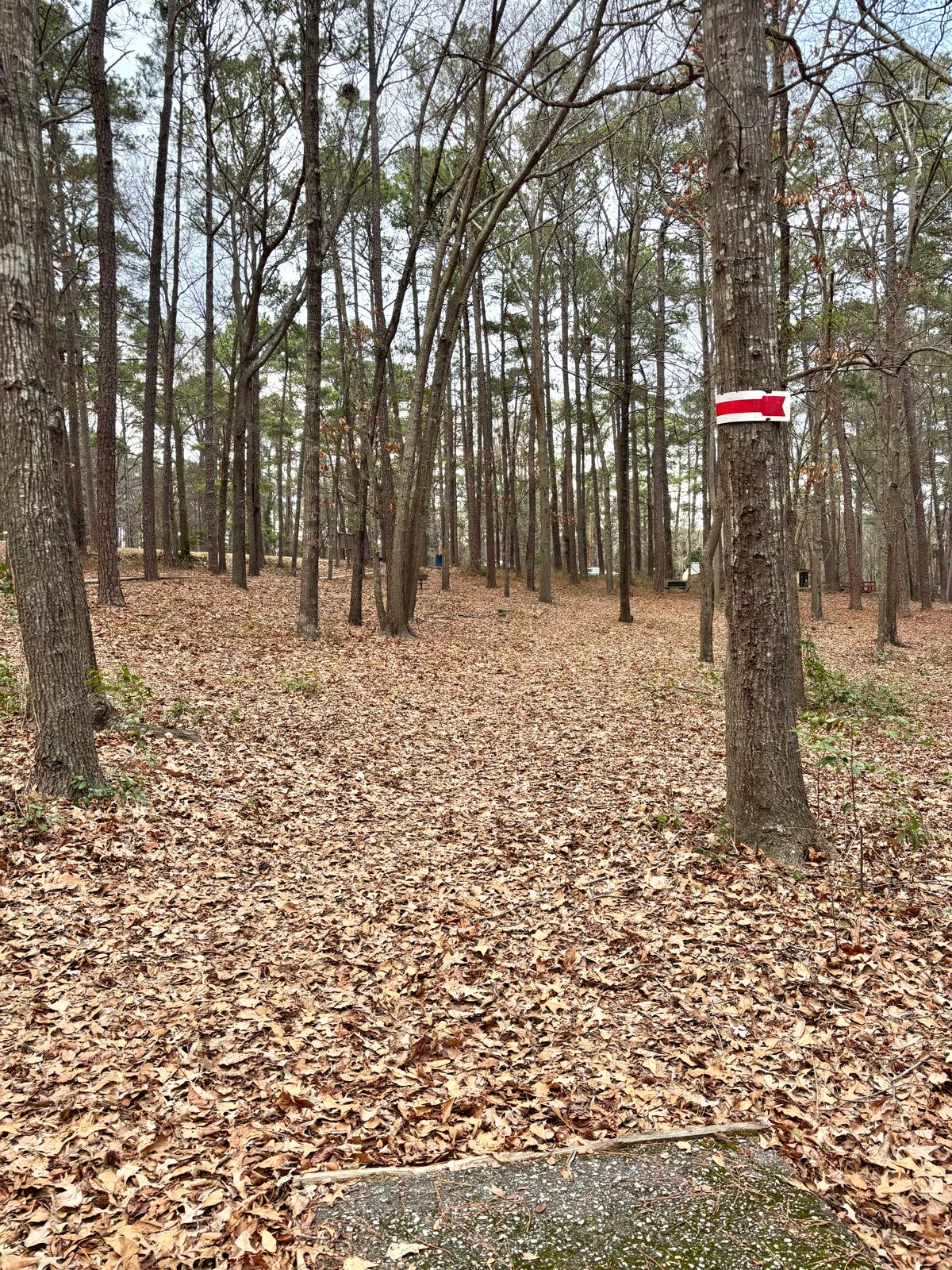 Hole 1 Short Tee