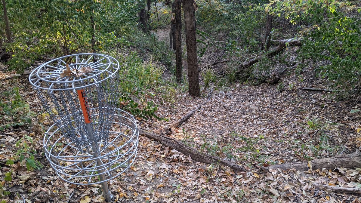 Basket 9 looking back down fairway