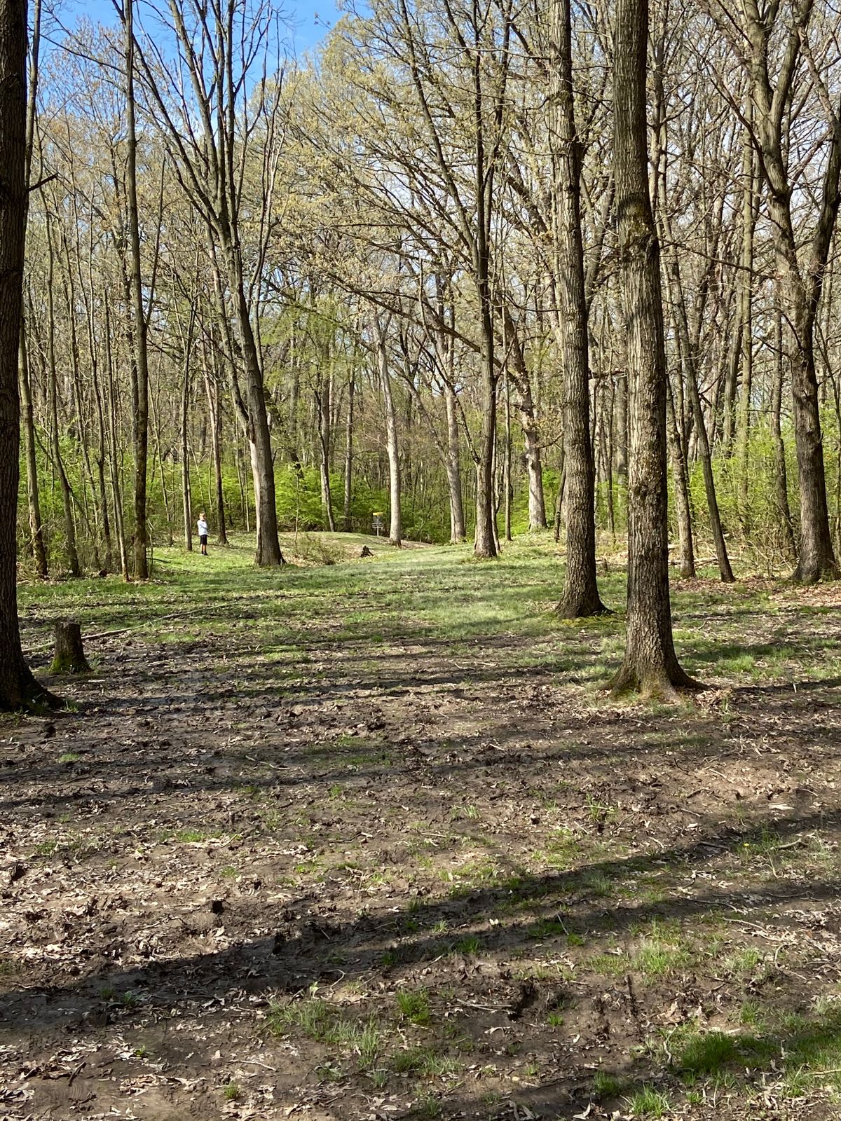 Fairway shot on hole 13 after the drive.