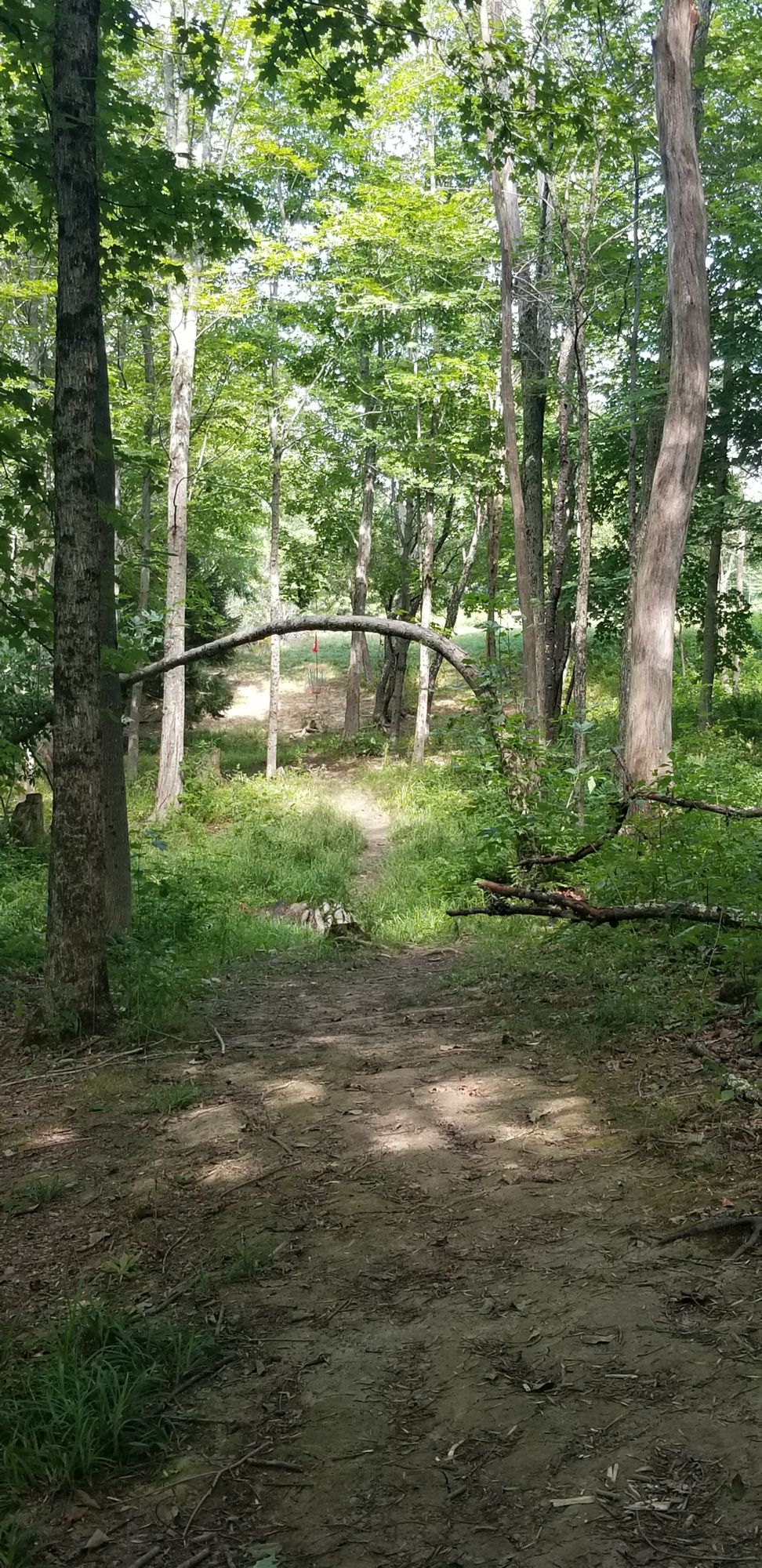 Hole 12