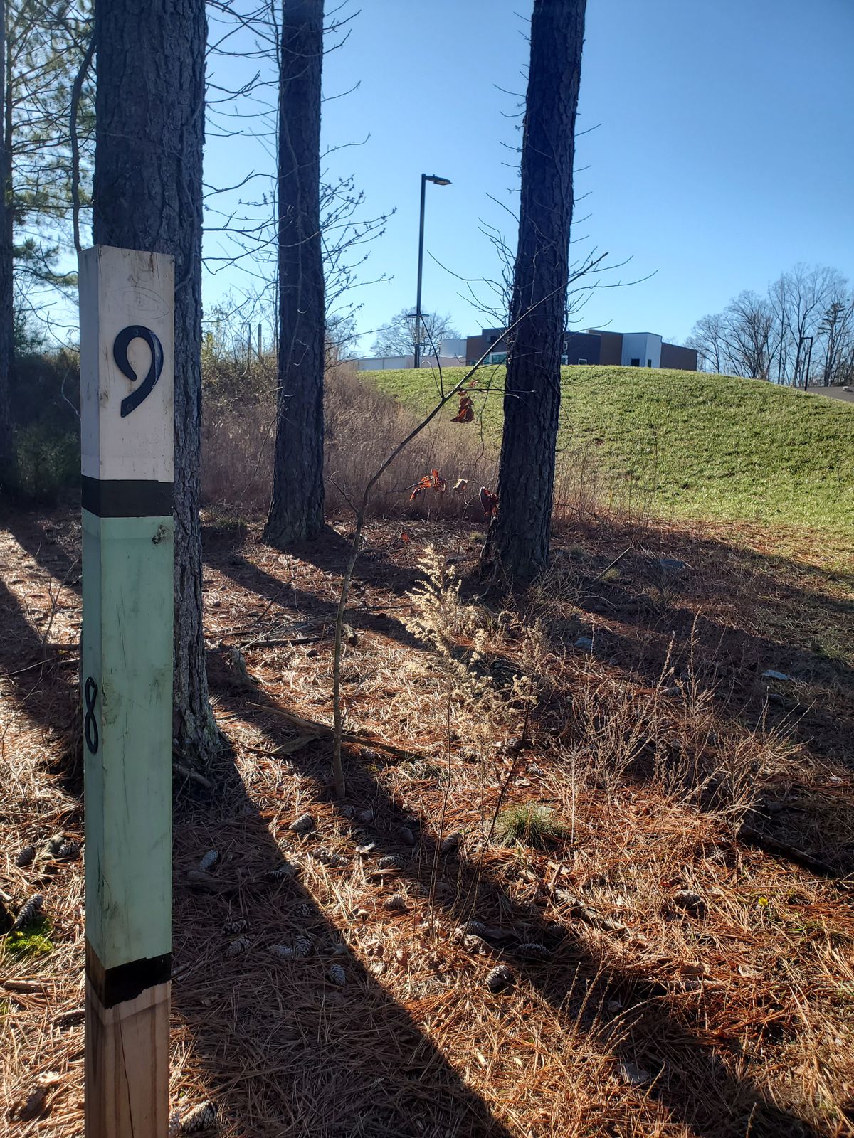 Hole 9