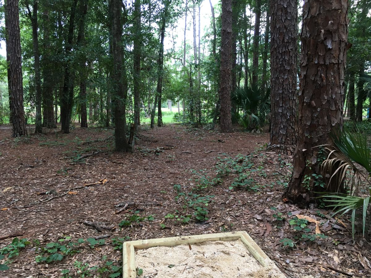 Hole 9 Tee