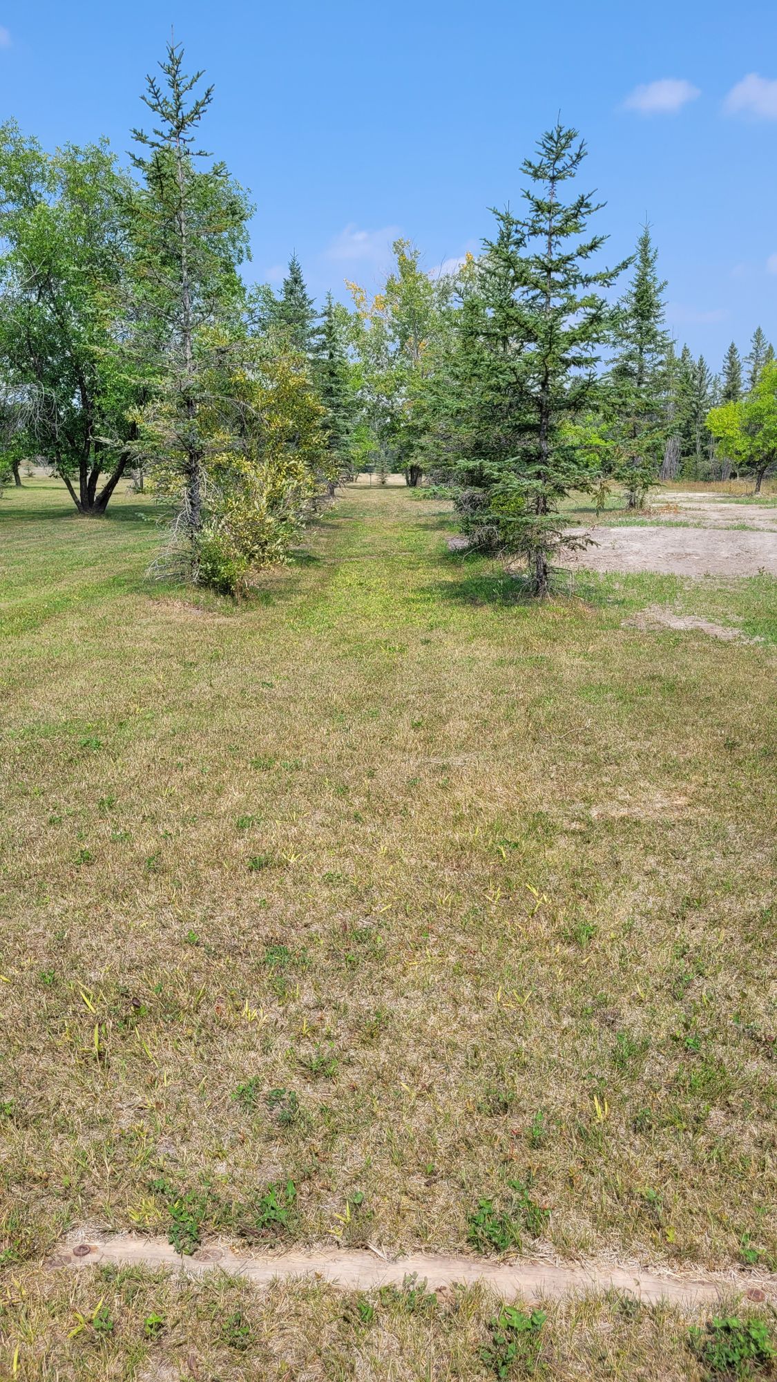 Hole eight
