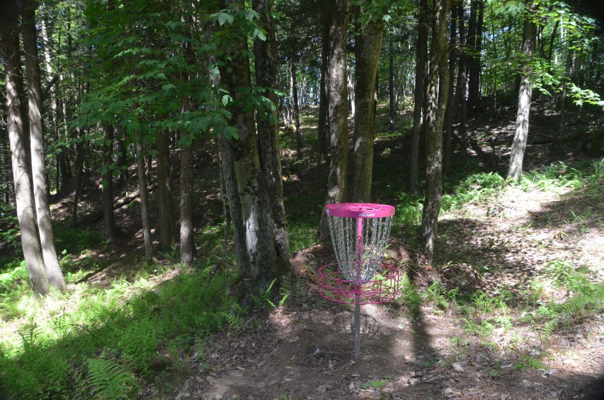 Hole 3 green and ace line.