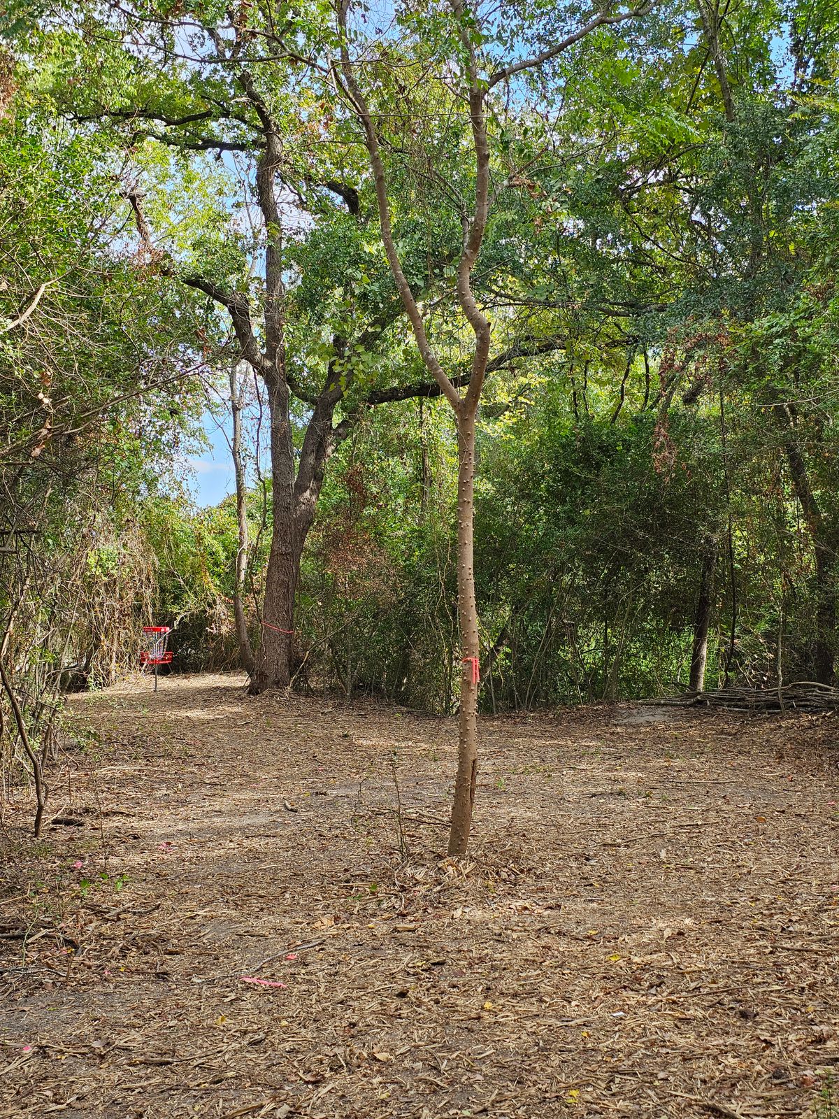Hole 4 Approach