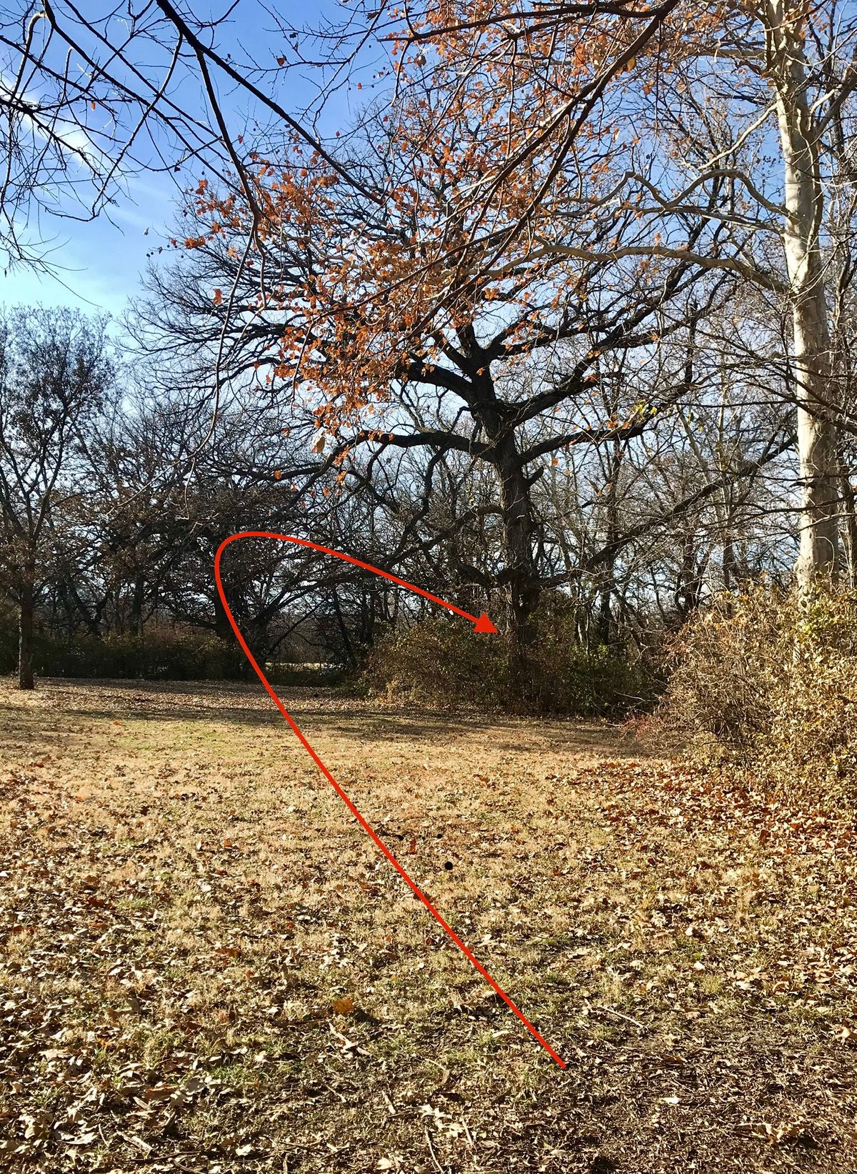 Hole 13 Tee