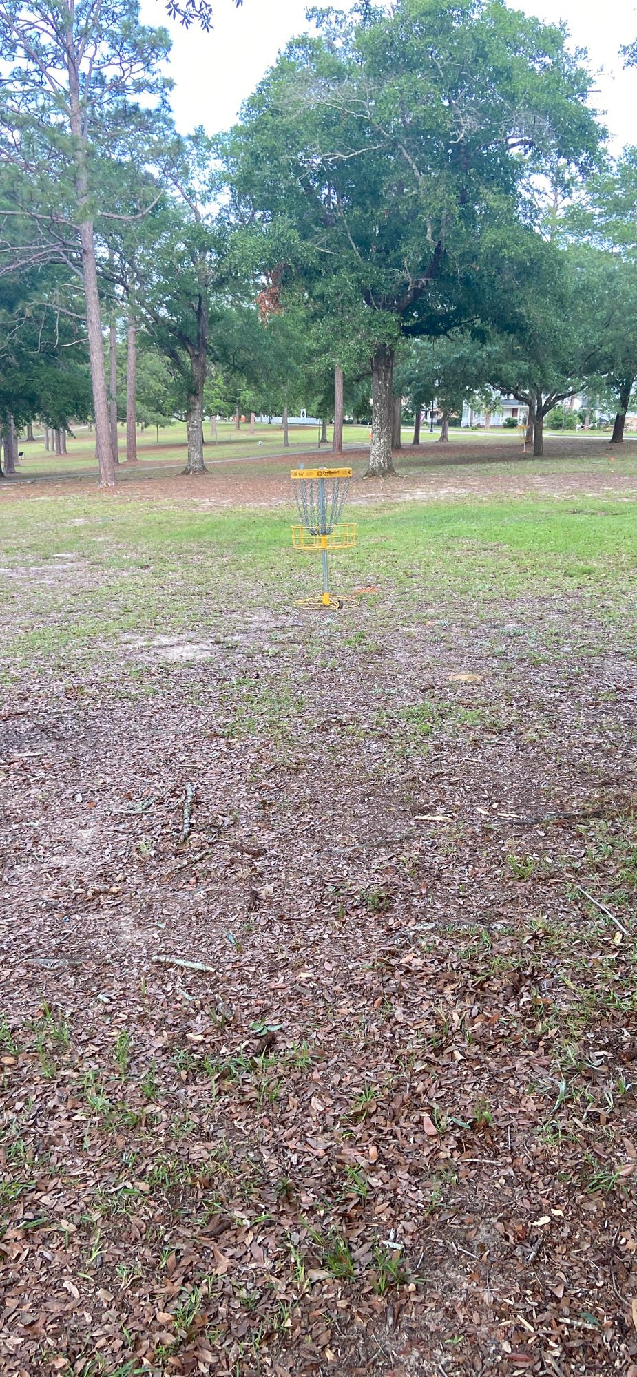 Hole 3