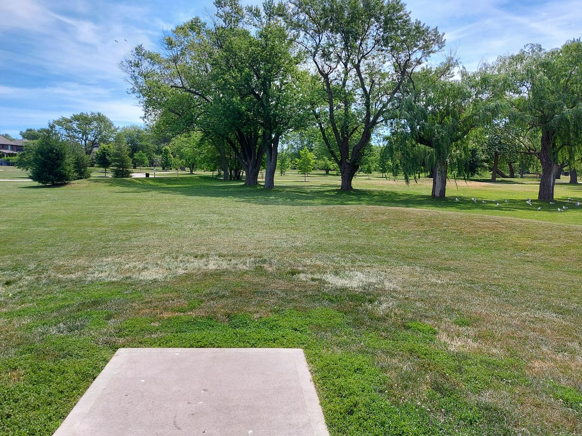 Tee pad 1 🍀🌲🌳🍃