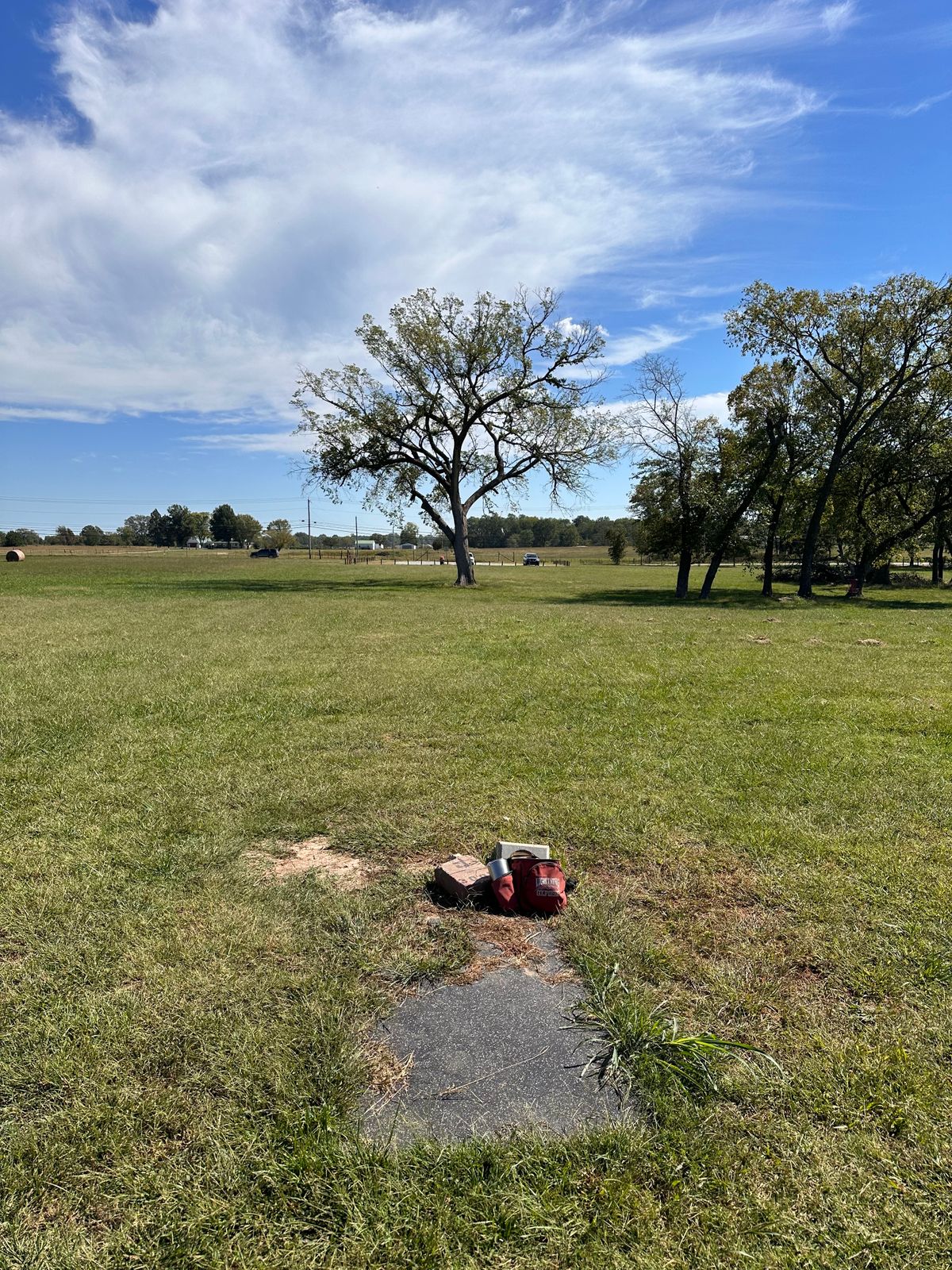 #9 30 feet past the large tree
