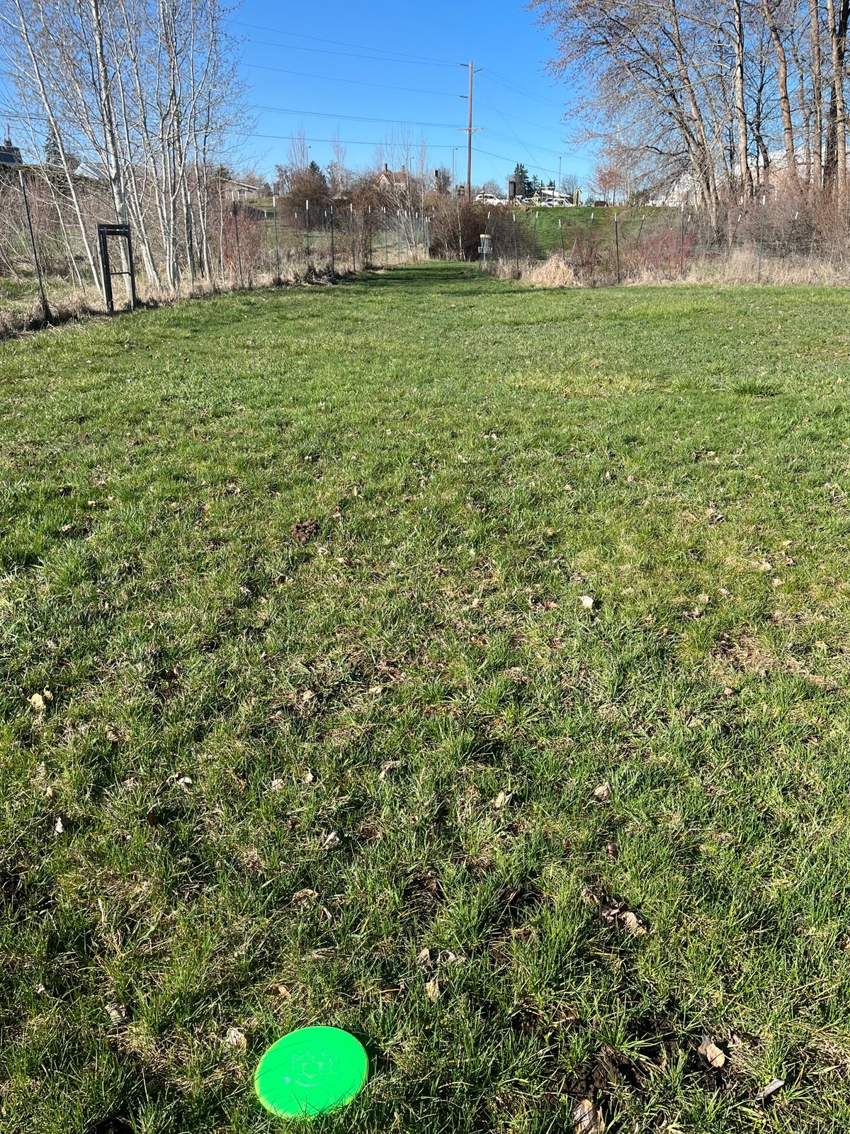 Hole 3 fairway looking at basket